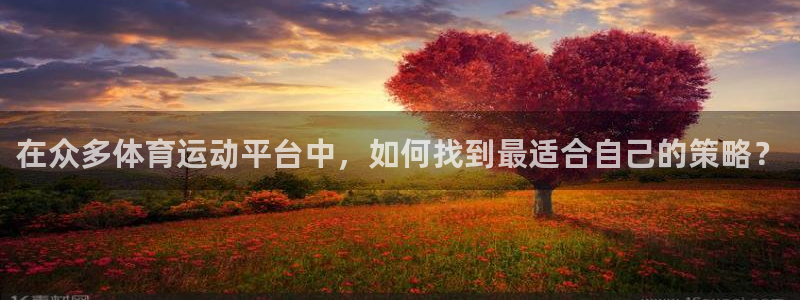 好博体育官网登录入口