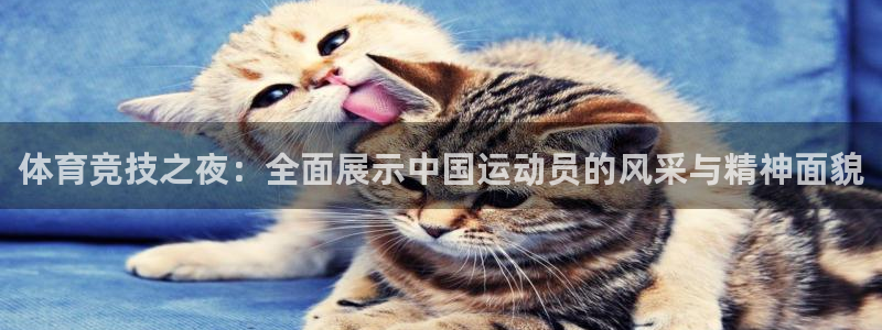 好博体育客服