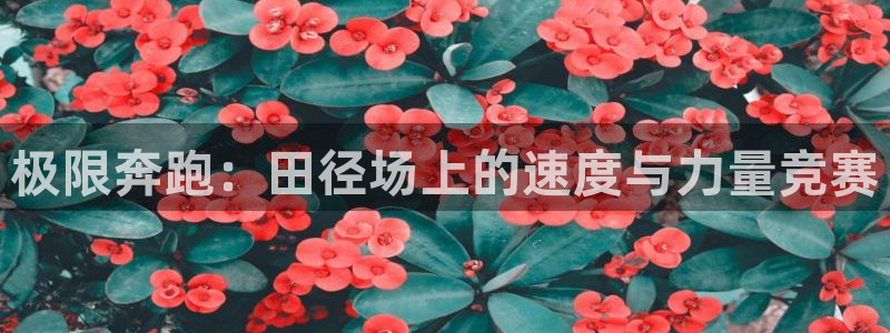 好博体育贴吧：极限奔跑：田径场上的速度与力量竞赛