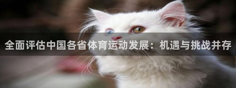 好博体育gdapp下载安装：全面评估中国各省体育运动发展：机遇与挑战并存