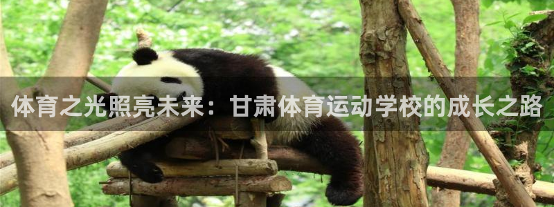 好博体育官网首页：体育之光照亮未来：甘肃体育运动学校的成长之路