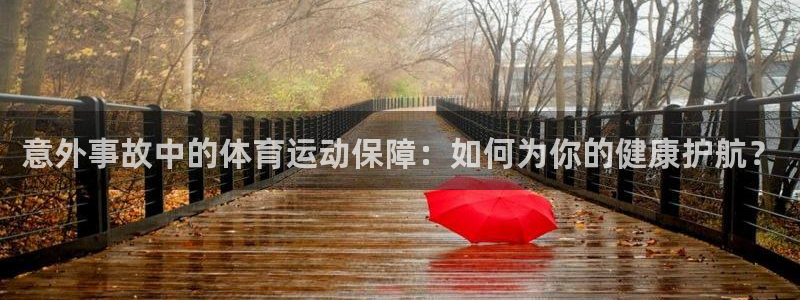 好博体育平台入口官网